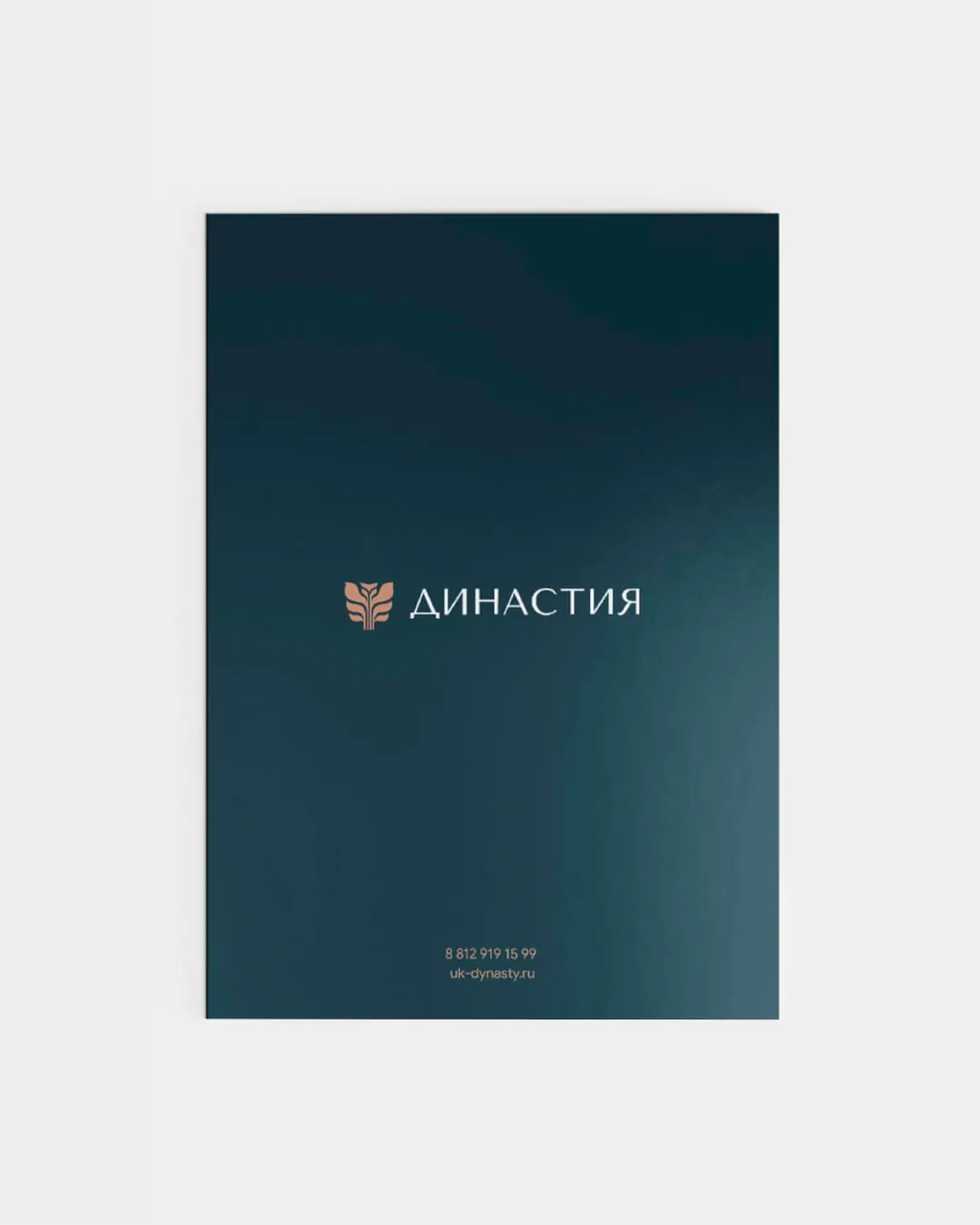 Пример проекта брендингового агентства RElabel