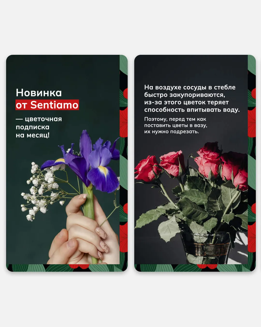 Пример проекта брендингового агентства RElabel